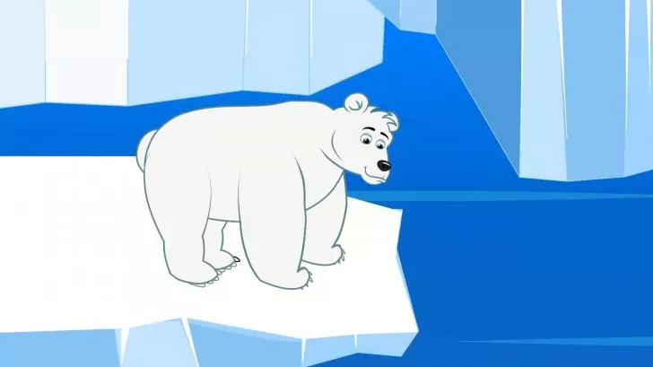 Kutup Ayısı Panda ve Boz Ayı Çocuk Şarkısı